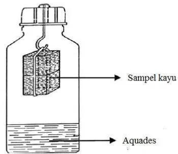 Gambar 2. Pola sampel uji emisi formaldehida 