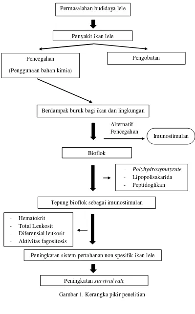 Gambar 1. Kerangka pikir penelitian 