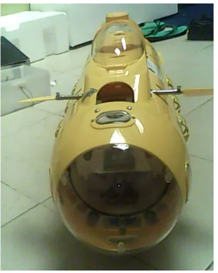 Figure 12. An AUV (side view) 