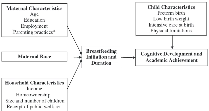 Fig. 1. Conceptual model of breastfeeding and academic achievement. * Parenting practices includes behaviors such as maternal warmth, emotional support, and cognitivestimulation.