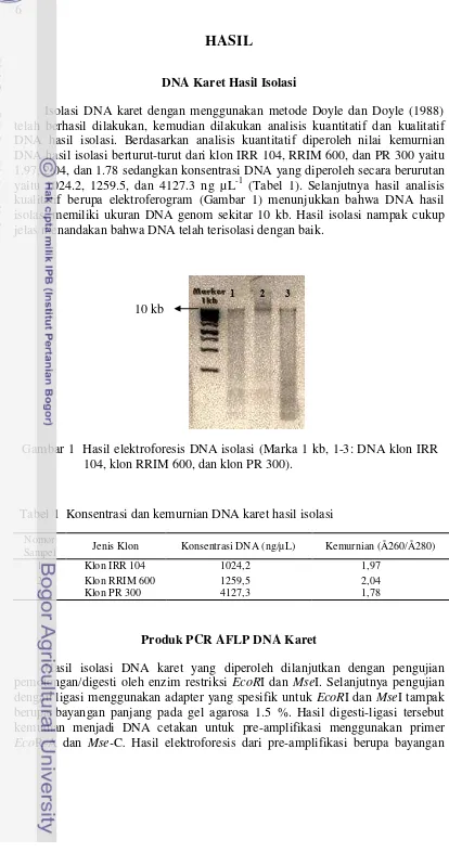 Gambar 1  Hasil elektroforesis DNA isolasi (Marka 1 kb, 1-3: DNA klon IRR 