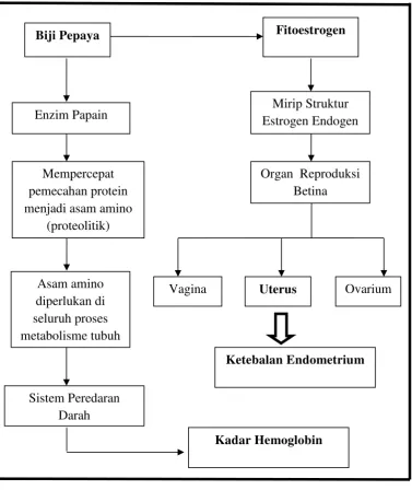 Gambar 7. Kerangka Berpikir Teoritik 