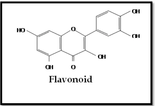 Gambar 2. Kerangka C6-C3-C6 Flavonoid (Hardianzah, R. 2009: 43).