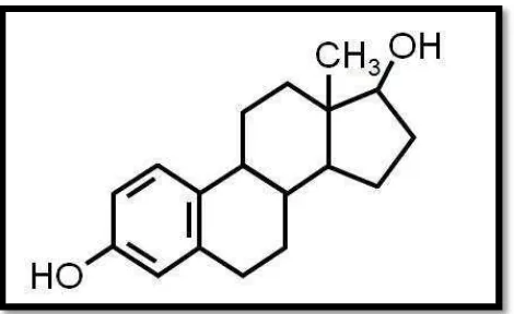 Gambar 5. Struktur Kimia Estrogen (Suherman, 1995:11) 