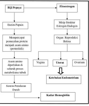 Gambar 7. Kerangka Berpikir Teoritik 