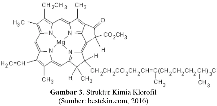 Gambar 3. Struktur Kimia Klorofil 