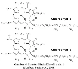 Gambar 4. Struktur Kimia Klorofil a dan b 