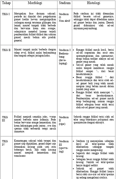 Tabel 8. Deskripsi tingkat kematangan gonad (TKG) kerang hijau secara                          morfologi dan histologi