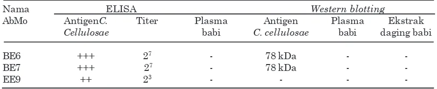 Tabel 2.  Karakteristik antibodi monoklonal  anti-C. cellulosae.