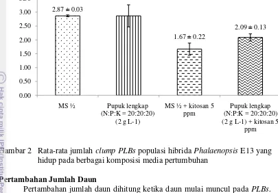Gambar 2   Rata-rata jumlah clump PLBs populasi hibrida Phalaenopsis E13 yang 