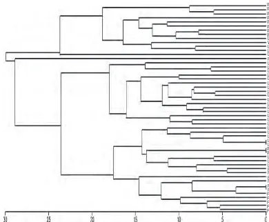 Fig. 2.Dendrogram showing genetic relationships of E. acoroides collected from waters of Pramuka, Lembongan and Waigeo Islands.