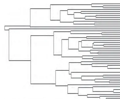 Fig. 2.Dendrogram showing genetic relationships of E. acoroides collected from waters of Pramuka, Lembongan and Waigeo Islands.