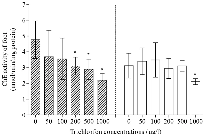 Figure 10.  Effects of trichlorfon on the ChE activity from foot of M. edulis.  The ChE activity in foot of mussels exposed to trichlorfon for 96-h (striated area with ± standard deviation)