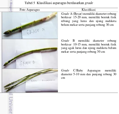 Tabel 5  Klasifikasi asparagus berdasarkan grade 