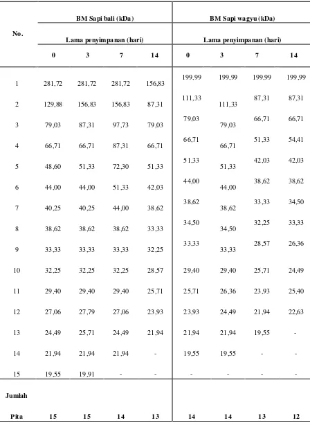 Tabel 2. Hasil Analisis Konsentrasi Asam Amino Esensial dalam Bentuk Berat Kering (%) Daging Sapi Bali dan Wagyu selama Penyimpanan pada Suhu 4°C 