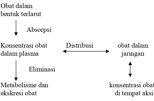 Gambar.1 Diagram Farmakokinetika (Aslam, dkk., 2003) 