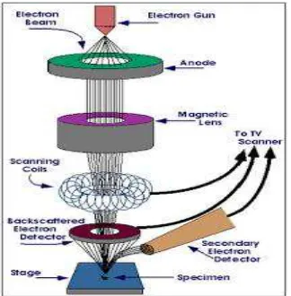 Gambar 2.12. Scanning Electron Microscope (SEM) (www.google.com) 