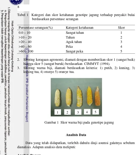 Tabel 1  Kategori dan skor ketahanan genotipe jagung terhadap penyakit bulai   berdasarkan persentase serangan 