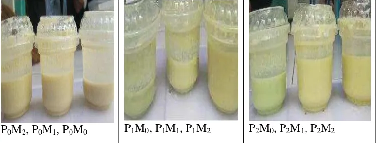Gambar 2. Hasil penelitian soygurt dengan penambahan ekstrak buah markisa kuning dan daun pandan sebagai pewangi
