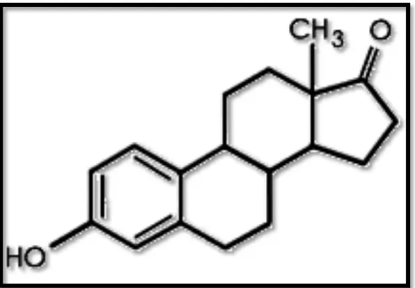 Gambar 6. Struktur Kimia Estrogen (Suherman, 1995:11) 