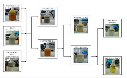 Figure 2.1: Flow Chart of the Palm Oil Process 