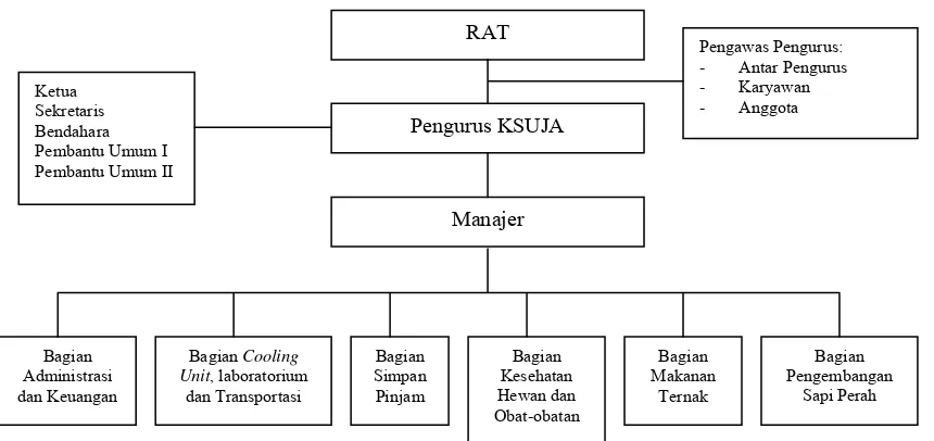 Gambar 2. Struktur Organisasi KSU Jaya Abadi 