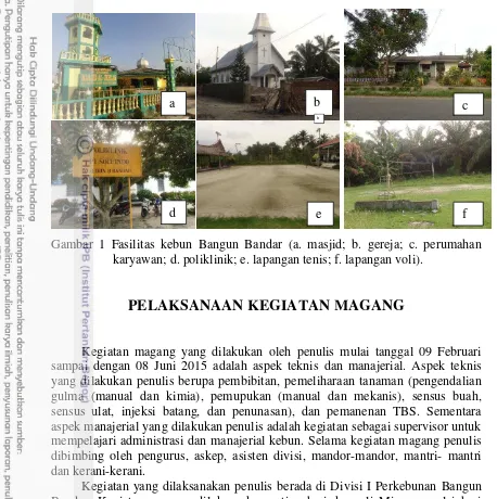 Gambar 1 Fasilitas kebun Bangun Bandar (a. masjid; b. gereja; c. perumahan 