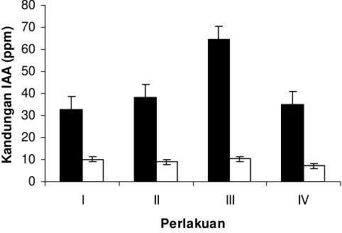 Gambar 3 Rata-rata kandungan hormon IAA (ppm) pada jaringan daun (■                 akar () dan □) tanaman jagung (± SE)