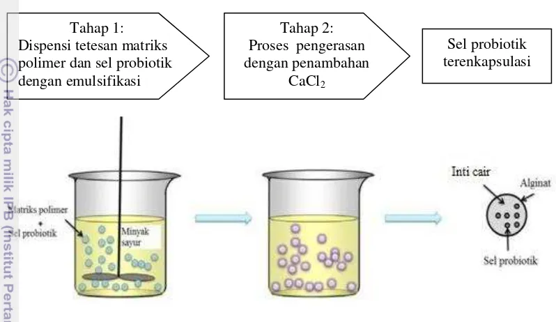 Gambar 1 Skema emulsifikasi (Burgain et al. 2011) 