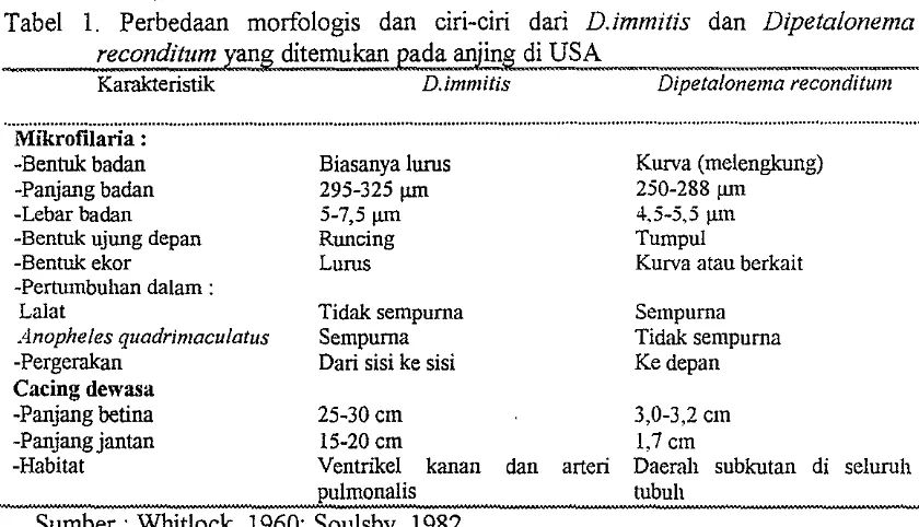 Tabel 1. Perbedaan morfologis dan ciri-ciri dari D.immitis dan Dipetalonema 