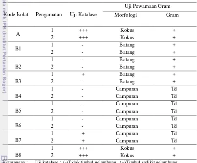 Tabel 1. Hasil uji katalase dan pewarnaan Gram  isolat Staphylococcus aureus 
