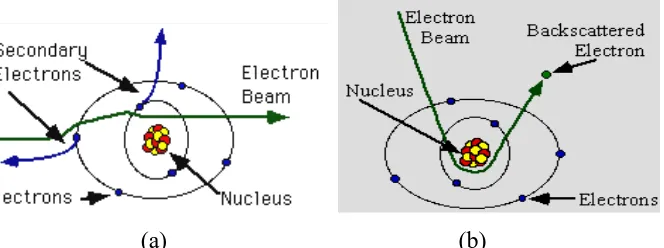 Gambar 2.12 (a) Skema basic prinsip dari Secondary electron (SE) 