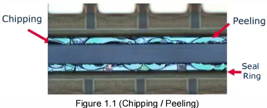 Figure 1.1 (Chipping / Peeling) 