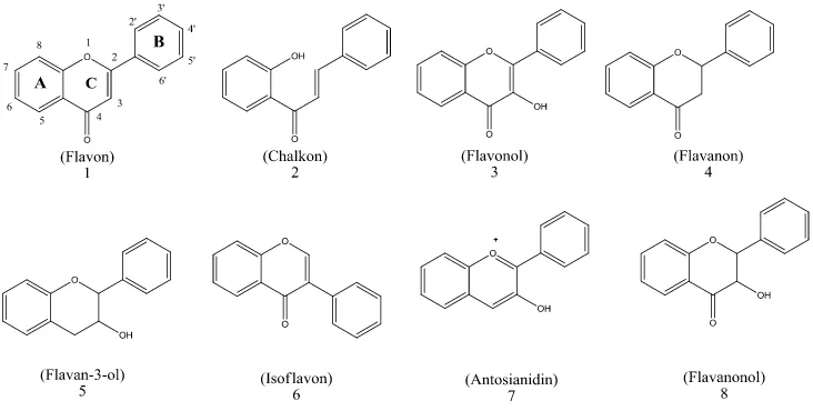 Gambar 4. Struktur kimia dari beberapa jenis flavonoid (Tapas et al., 2008). 
