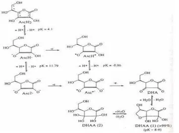 Gambar 4. Struktur Kimia Asam Askorbat Sumber :Levine etal. 1996. 