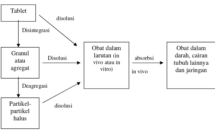 Gambar 2. Proses Disintegrasi dan Disolusi Tablet Dalam Kondisi In Vitro atau In   Vivo (Martin dkk, 1993)
