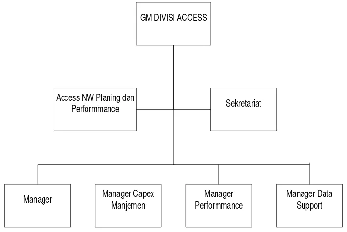 Gambar 3.4 Struktur Organisasi Divisi Access NW Planning dan Performmance PT. 