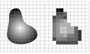 Gambar 2.1  (kiri) Citra kontinyu diproyeksikan ke array sensor; (kanan) Citra hasil digitasi 