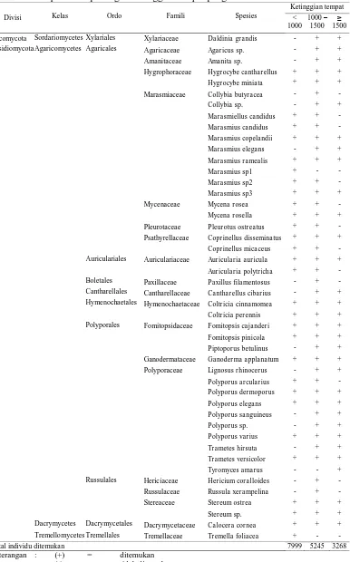 Tabel 1. Klasifikasi spesies jamur makroskopis yang ditemukan di Hutan Pendidikan  USU pada setiap kategori ketinggian tempat pengamatan Ketinggian tempat 