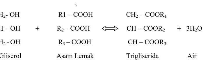 Gambar 2.1. Reaksi Trigliserida Minyak/Lemak 