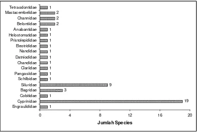 Gambar 17.   Jumlah species ikan yang ditemukan selama penelitian 