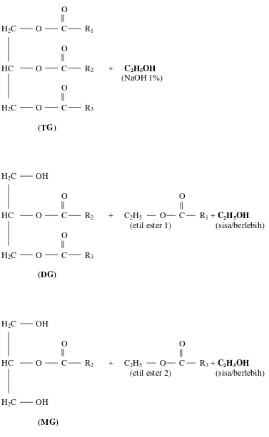 Gambar 1. Tahapan reaksi etanolisis trigliserida (TG) menghasilkan digliserida(DG), monogliserida (MG), dan etil ester asam lemak (Hasanuddin etal., 2003).