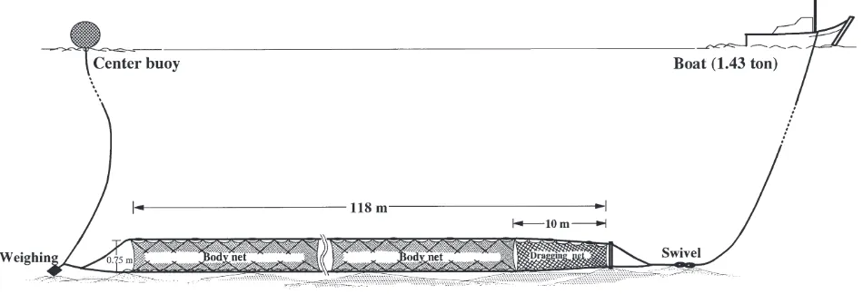 Table 1Speciﬁcation of an experimental sweeping trammel net used in the experiment