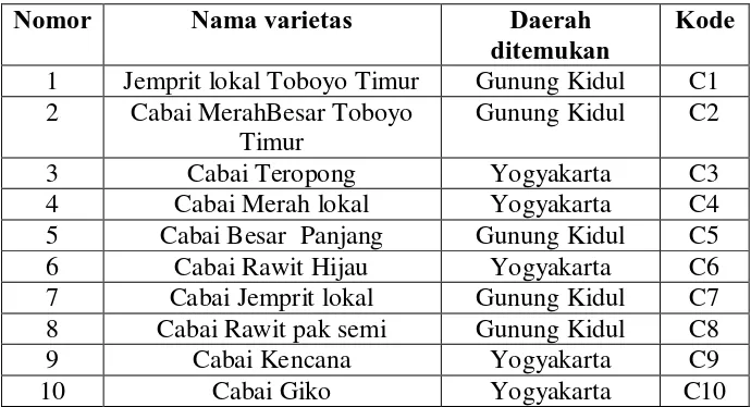 Tabel 2. Daftar kultivar Cabai di Yogyakarta 