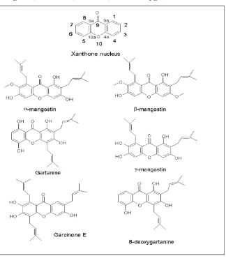 Gambar 2. Rumus kimia turunan senyawa xanton (Jung : 2006) 