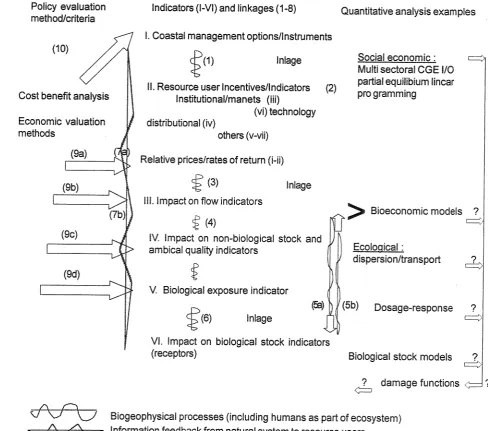Tabel 5. Integrated quantitative analysis and information flows 