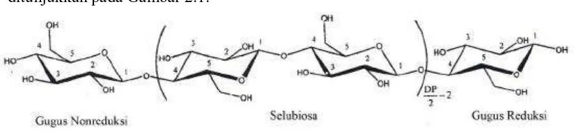 Gambar 2.1 Struktur Kimia Selulosa (Atalla, 1989). 