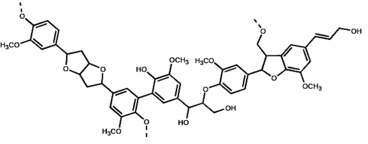 Gambar 2.6 Struktur Kimia Lignin 
