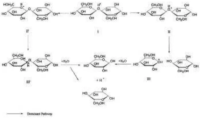 Gambar 4.2 Reaksi Hidrolisis asam α-Selulosa ( Qianxang et al, 2003). 