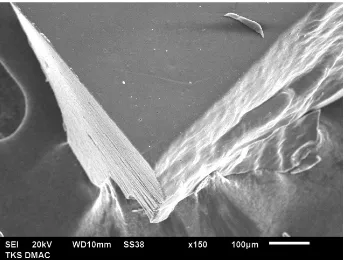 Gambar 4.2.1 (a) Agregat Nanokristal Selulosa (150x)                              (b) Nanokristal tunggal Selulosa (50000x) 